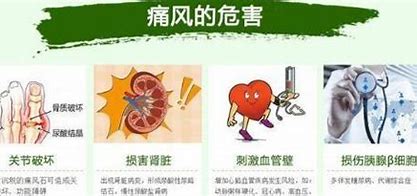 食疗方子尿酸高的配方