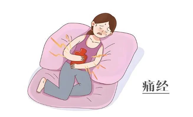 女性朋友看过来，痛经不要怕，一味本草来调养