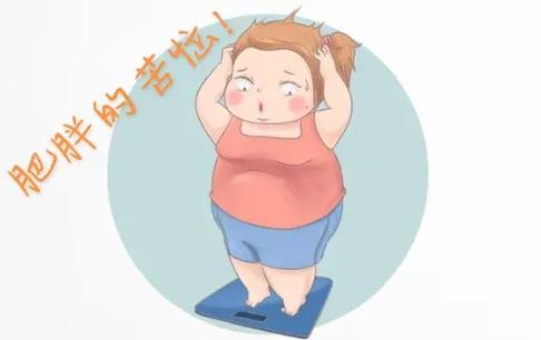 肥胖的方子（大多数肥胖是脾虚引发痰湿）