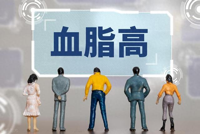 高血脂降脂茶